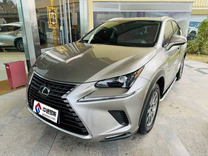 Lexus NX 2020 200 All-wheel Drive Front Edition National V