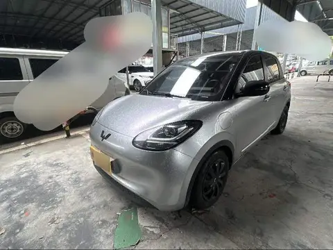 Wuling Bingo 2023 333km Express Edition