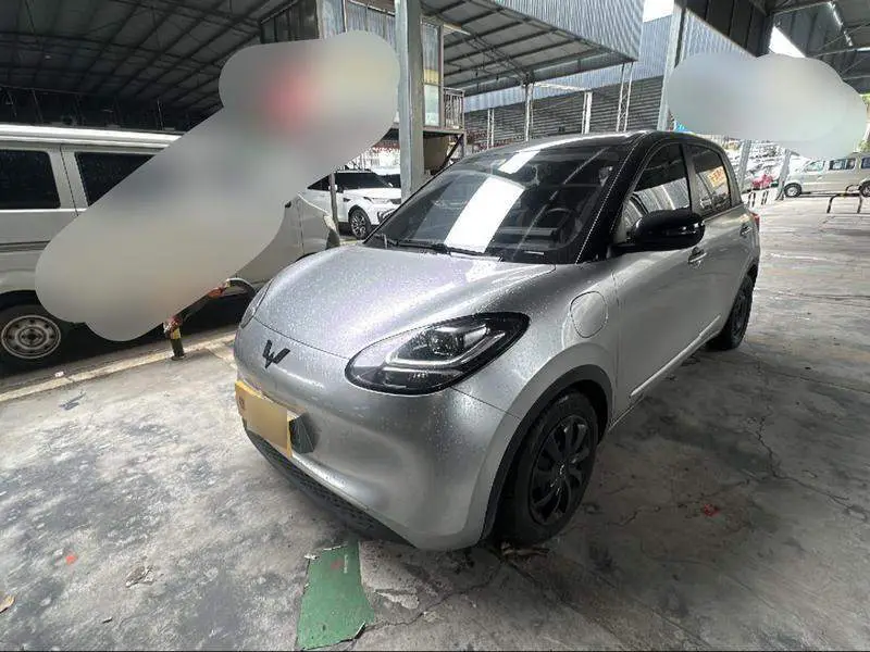 Wuling Bingo 2023 333km Express Edition