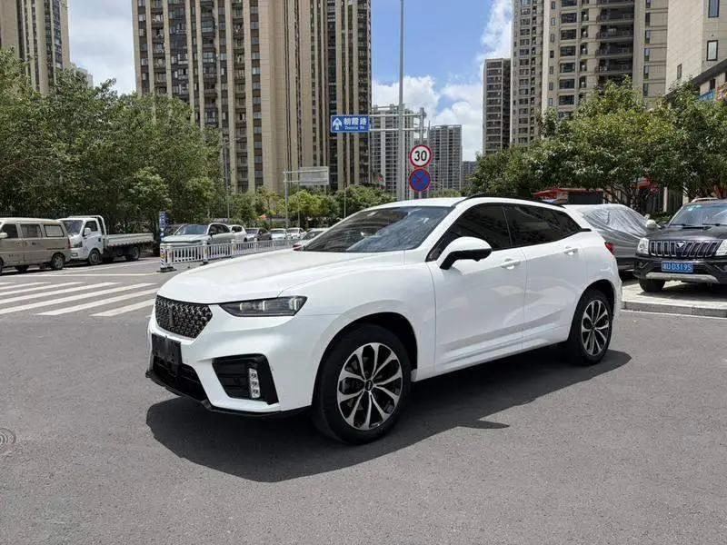 Wei brand VV7 2020 2.0T Flagship