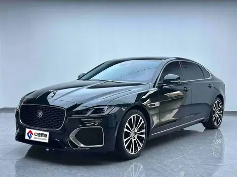 Jaguar XFL 2025 2.0T P250 2WD Premium Luxury Edition