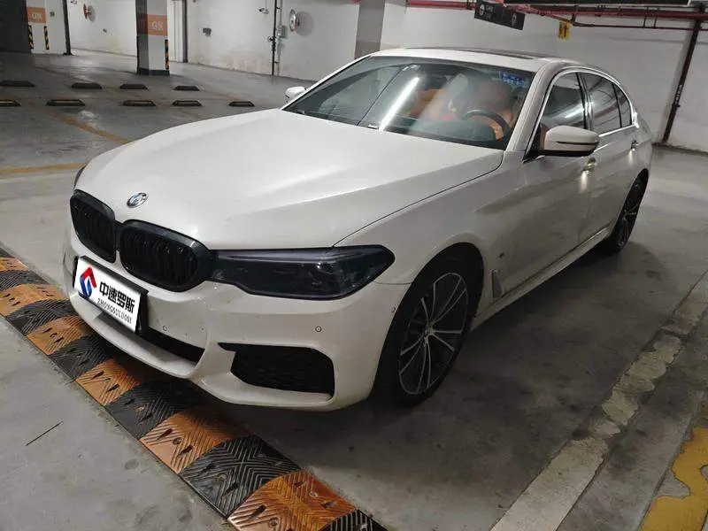 BMW 5 Series 2020 530Li Premium M Sport Package