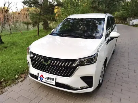Wuling Jiachen 2022 1.5T Manual Comfort Vitality Edition