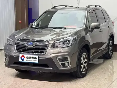 Forest Man 2019 2.0i Luxury Edition