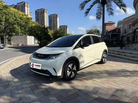 dolphin 2024 Honor Edition 420กม. Fashion Edition