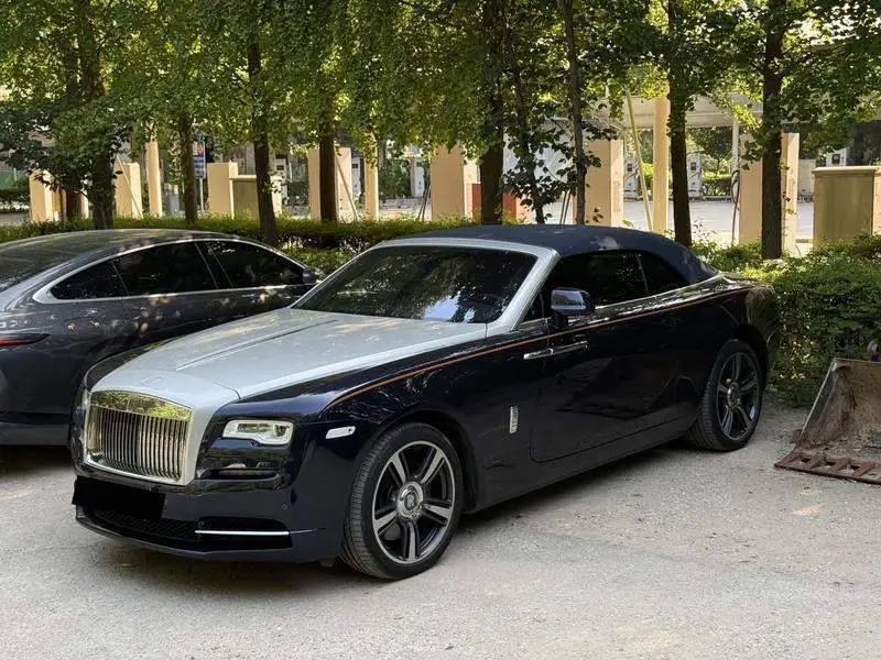 Dawn 2015 6.6T Standard Edition