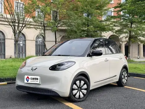 Wuling Bingo 2023 333km Enjoy+