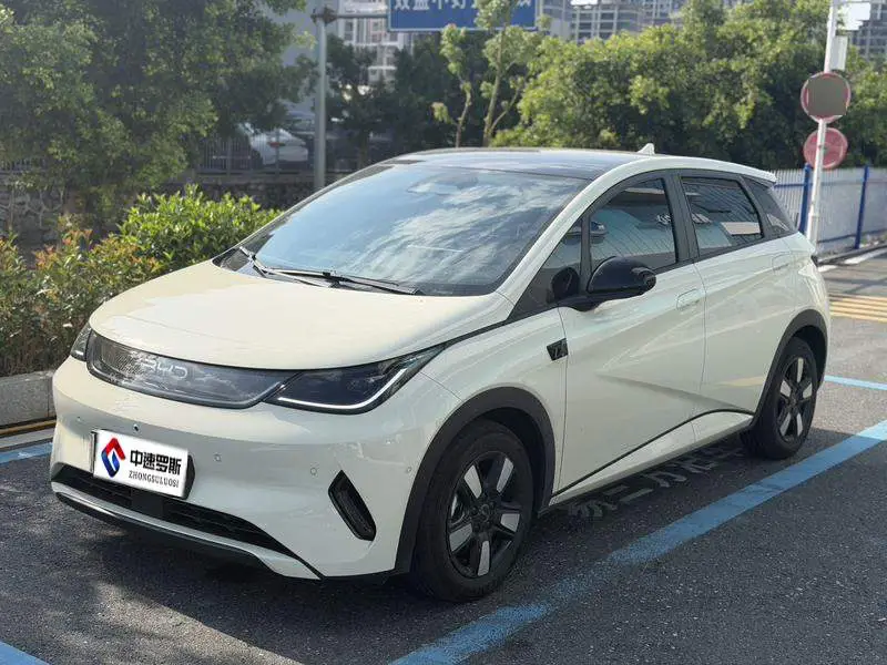 dolphin 2025 Smart Driving Edition 410km Fashion Edition