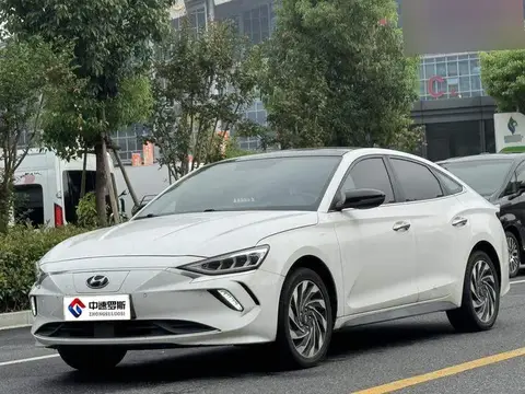 Festa pure electric 2020 GLS Free Travel Edition