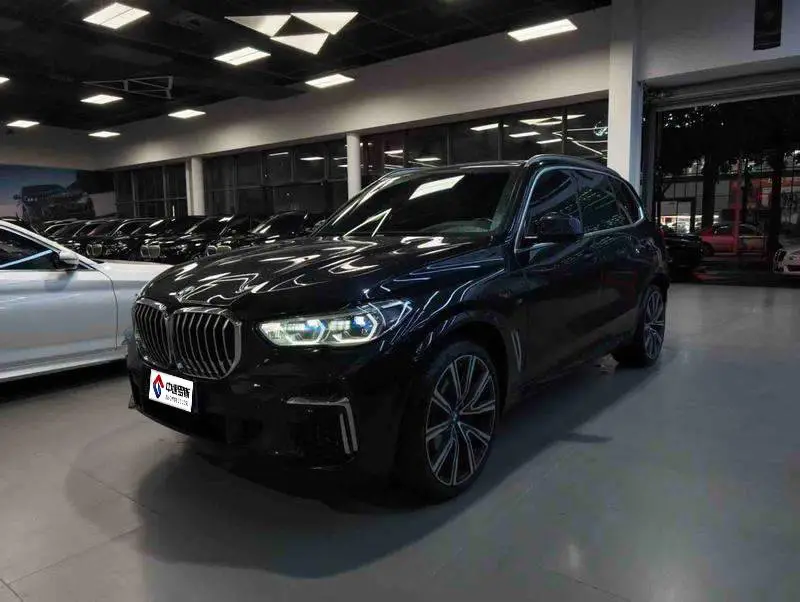 BMW X5 2022 xDrive 40Li M Sport Package