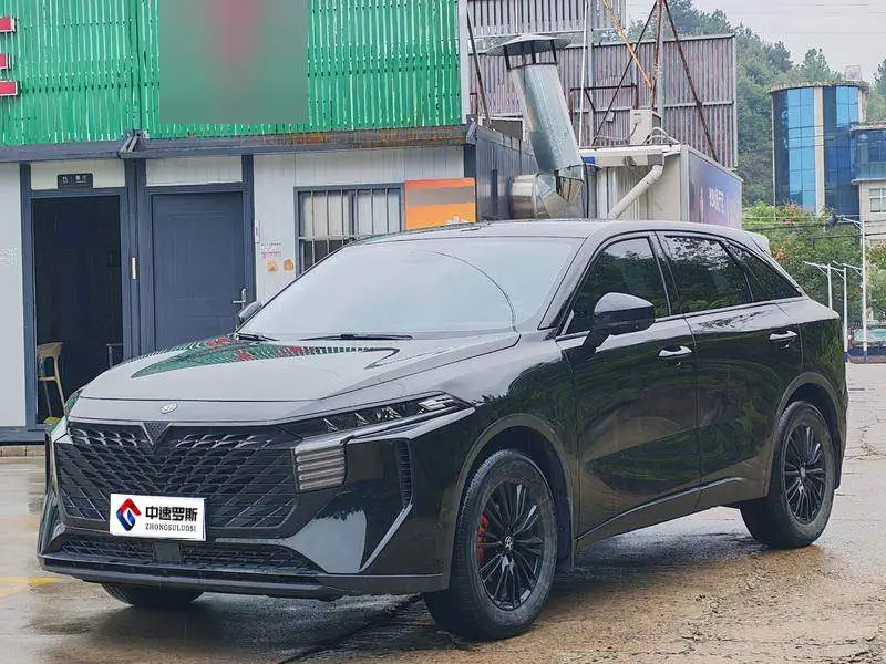 Qichen Big V 2022 260T Dark Horse Edition·Idol