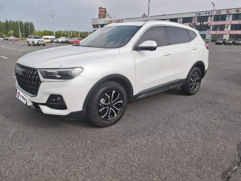 Haval H6 2023 National Trend Edition 1.5T Automatic City Edition