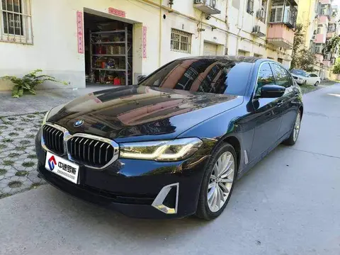 BMW 5 Serie 2021 530Li Premium Luxury Package