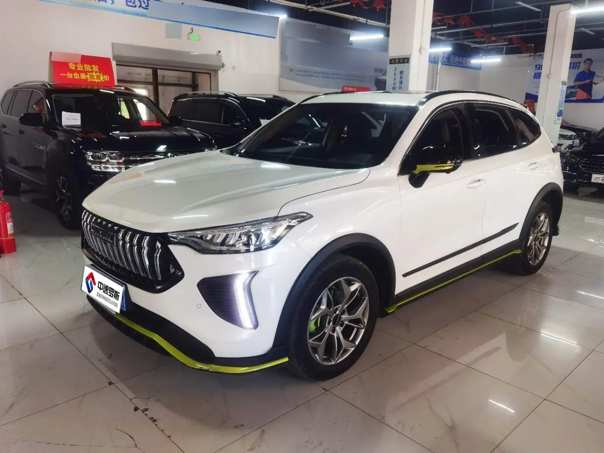 Haval Chitu 2022 Jinxiang Edition 1.5T Copper Rabbit