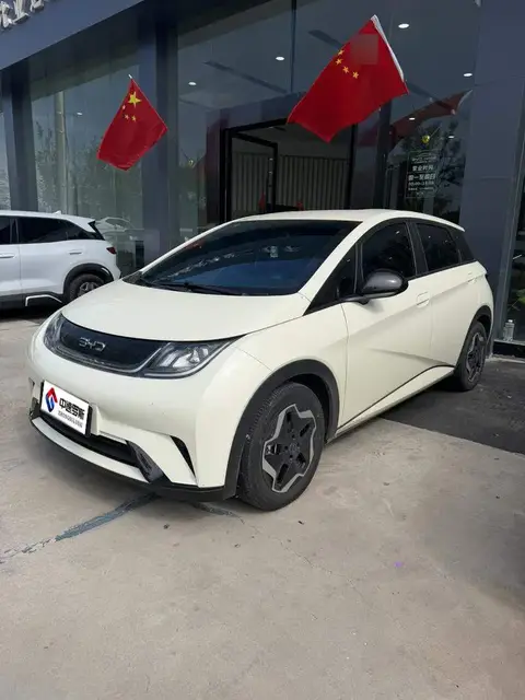 dolphin 2025 420กม. Vitality Edition