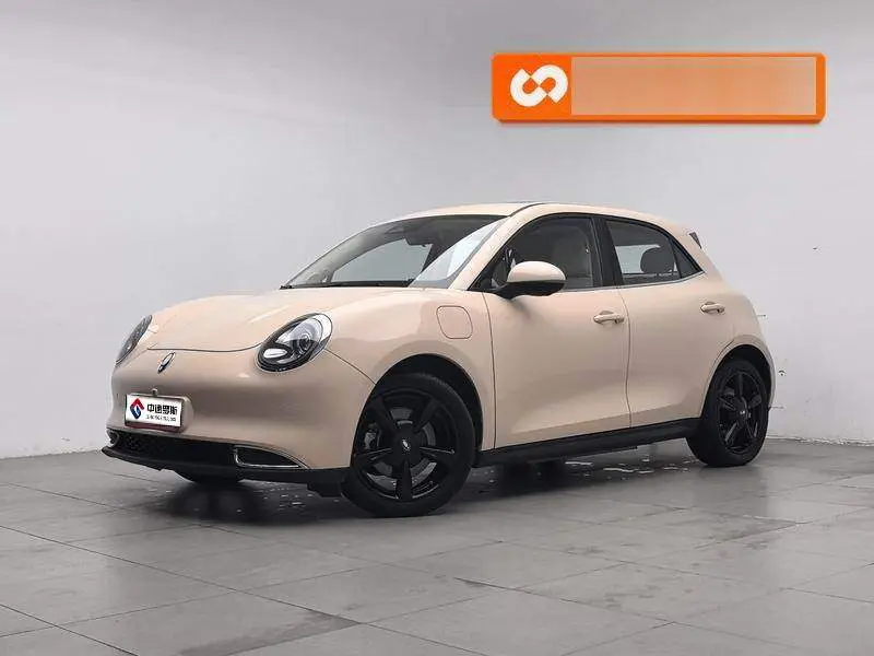 Ora Good Cat 2024 401km Luxury Model