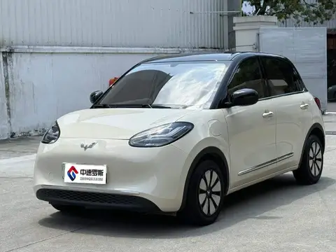 Wuling Bingo 2025 333km Lingxi Internet Mẫu