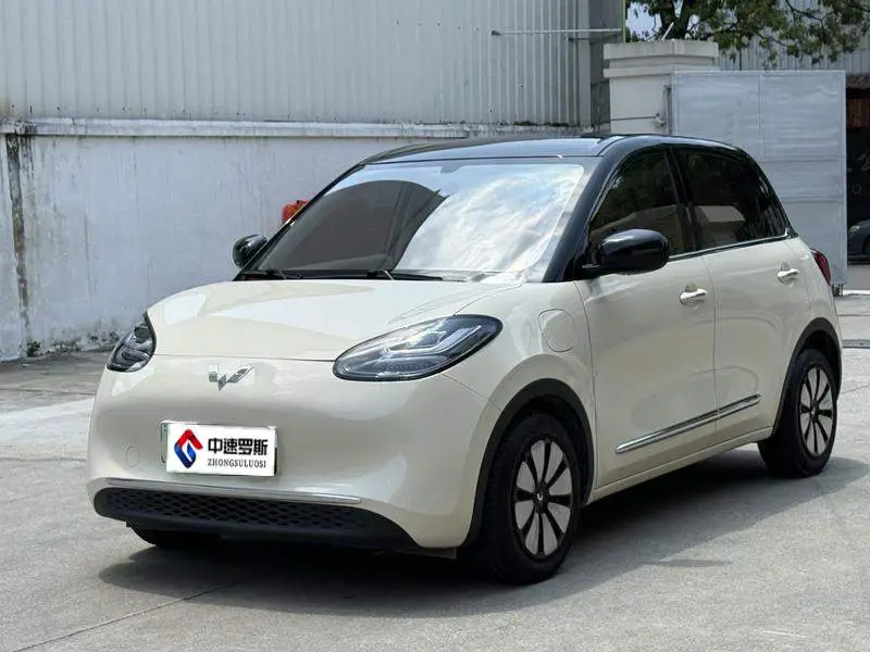 Wuling Bingo 2025 333km Lingxi Internet Model