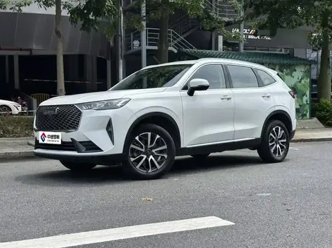 Haval H6 2022 third generation 1.5T automatic two-wheel drive Max