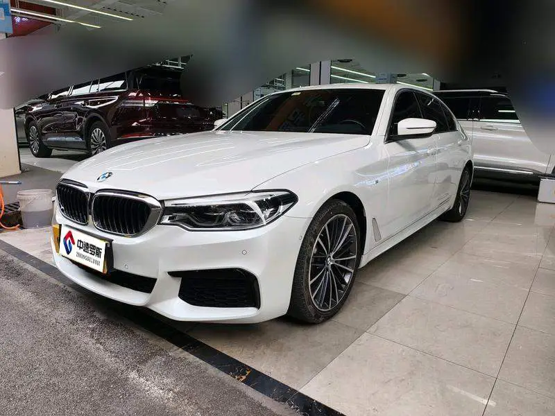 BMW 5 Series 2020 530Li Leading M Sport Package