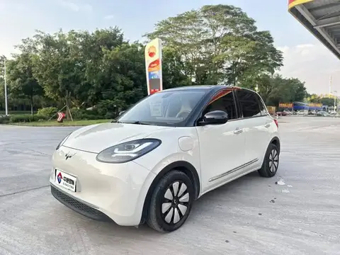 Wuling Bingo 2024 333km Enjoy Edition
