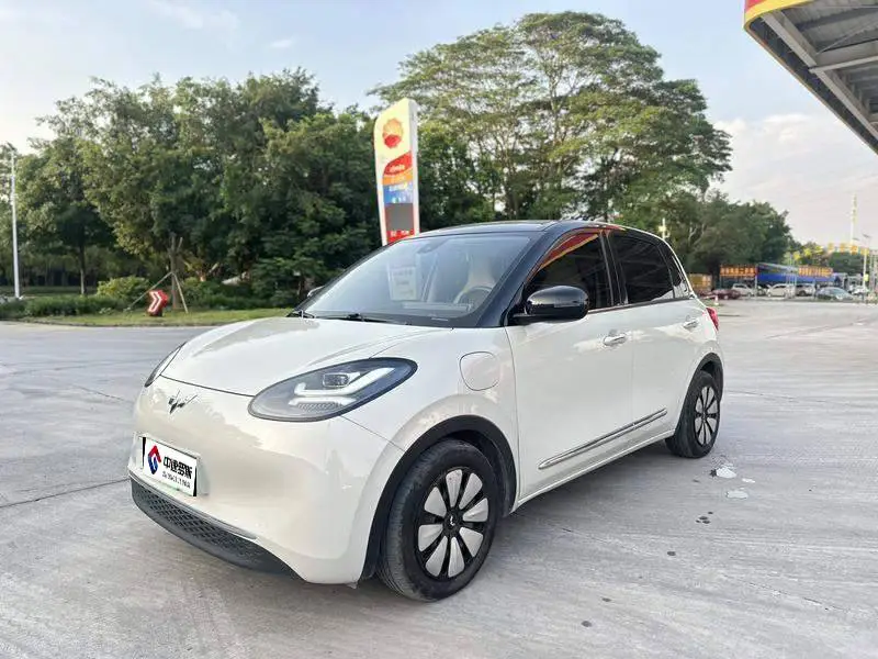 Wuling Bingo 2024 333km Enjoy Edition