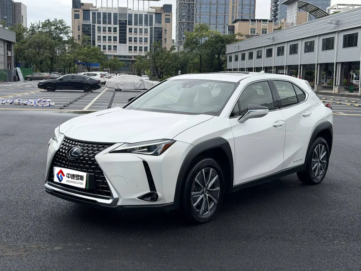 Lexus UX New Energy 2020 300e Pure Enjoyment Edition