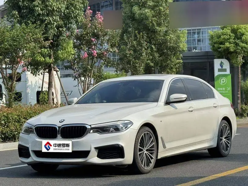 BMW 5 Series 2020 530Li Premium M Sport Package