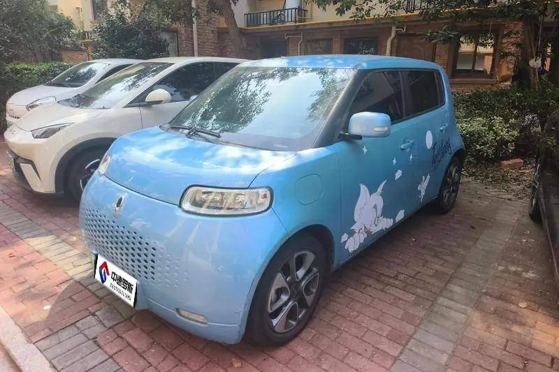 Ora White Cat 2020 305km Luxury Model