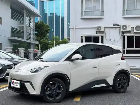 Seagull 2023 Vitality Edition