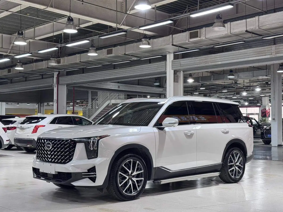 Trumpchi GS8 2024 Pilot Series 2.0TGDI Two-wheel Drive Luxury Smart Edition