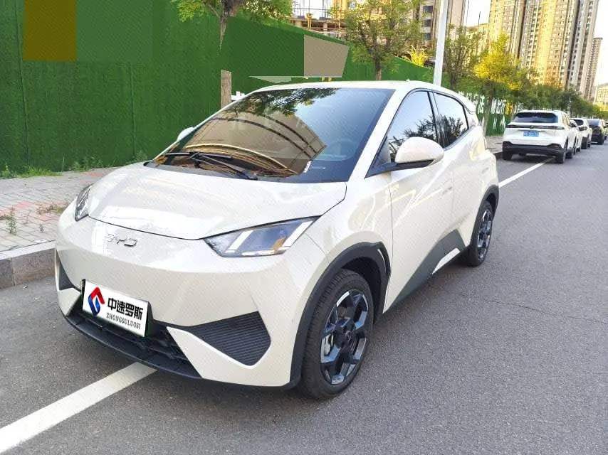 Seagull 2025 Smart Driving Edition 405km/h Comfort Edition