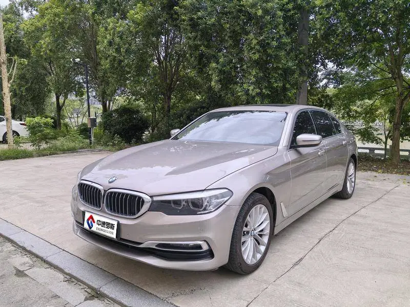 BMW 5 Series 2019 525Li Luxury Package