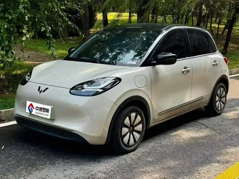 Wuling Bingo 2023 410km Lingxi Premium Edition