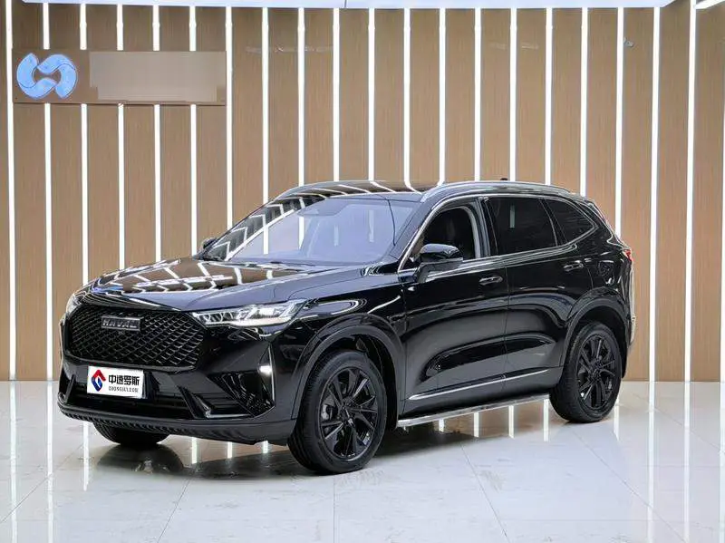 Haval H6 2021 third generation 2.0T automatic two-wheel drive Max