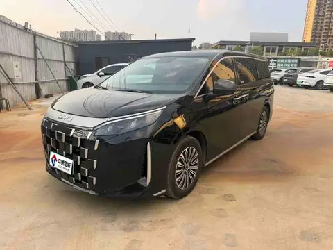 BYD M9 2025 1060 Navigator Pro