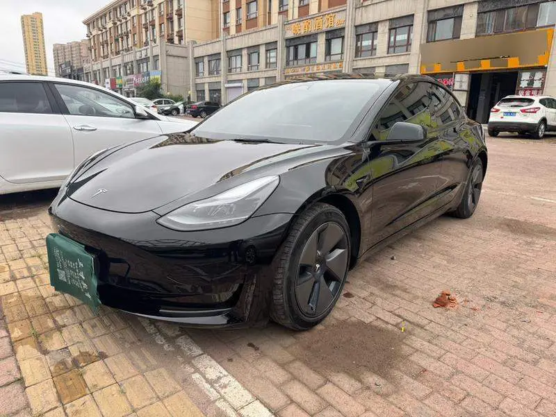Model 3 2022 rear-wheel drive version