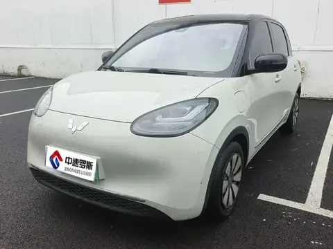 Wuling Bingo 2023 333km Lingxi Internet+