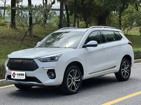 Haval H6 Coupe 2018 Red Label 1.5T Automatic 2WD Super Luxury