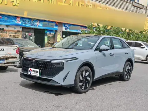 Qichen Big V DD-i 2023 60km iD version