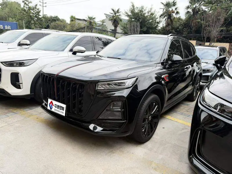 Hongqi HS5 2025 2.0T 2WD Shadow Edition