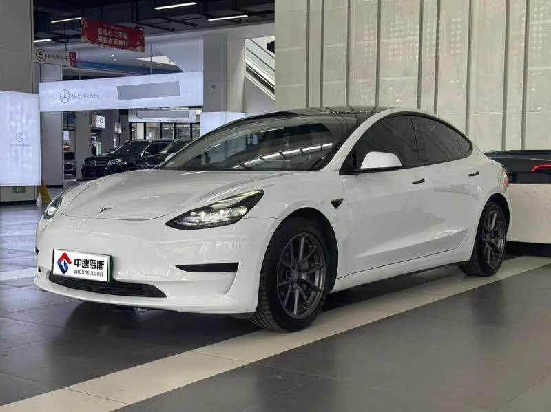 Model 3 2021 Standard Range RWD Upgraded 3D6