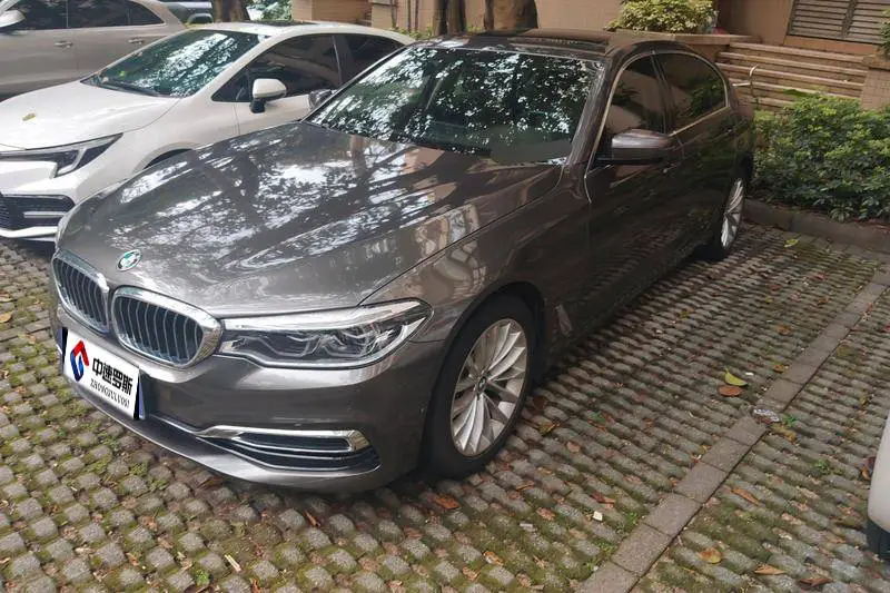 BMW 5 Series 2020 530Li Leading Luxury Package