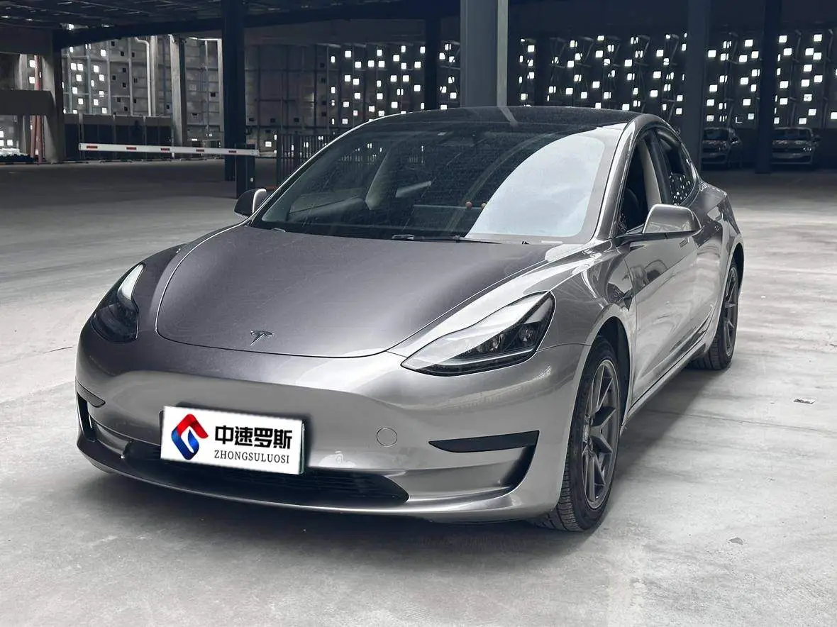 Model 3 2021 Standard Range RWD Upgraded 3D6