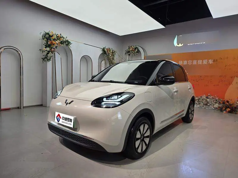 Wuling Bingo 2024 333km Lingxi Internet Model