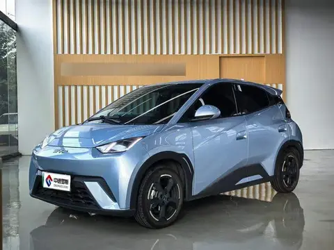 Seagull 2024 Honor Edition 305كم Freedom Edition