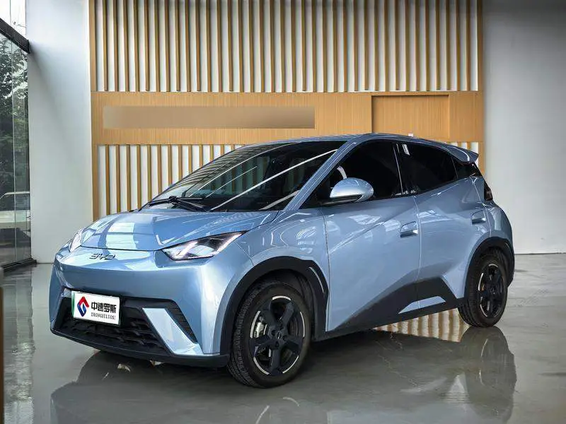 Seagull 2024 Honor Edition 305km Freedom Edition