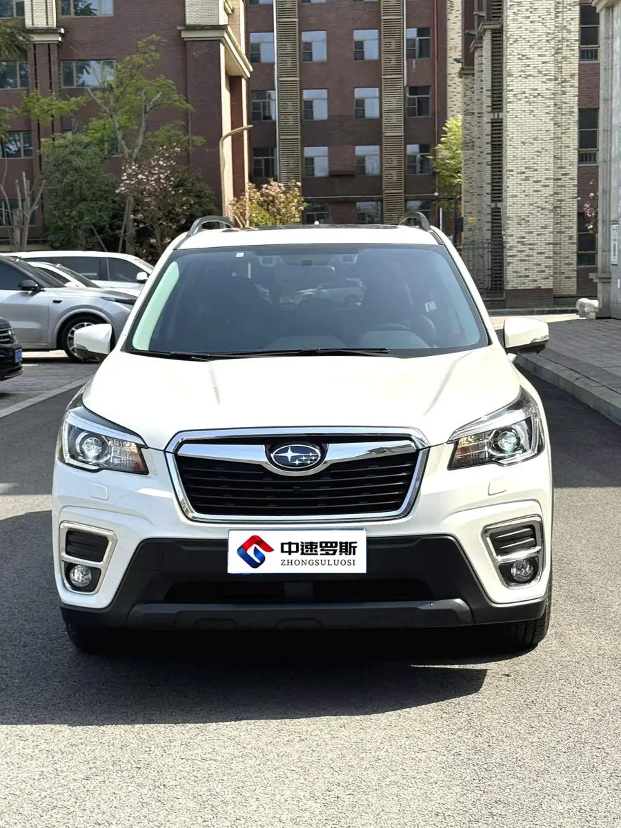 Forest Man 2019 2.0i Luxury Edition EyeSight