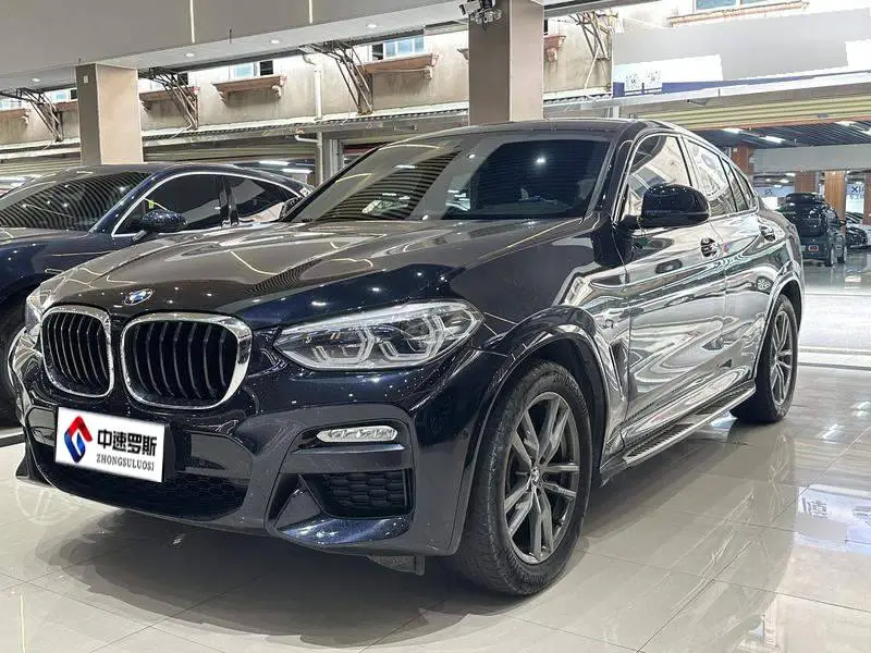 BMW X4 2019 xDrive25i M Sport Package
