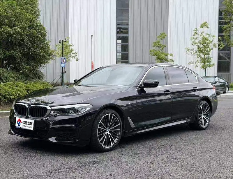 BMW 5 Series 2020 530Li Leading M Sport Package